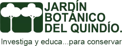 Logo 20